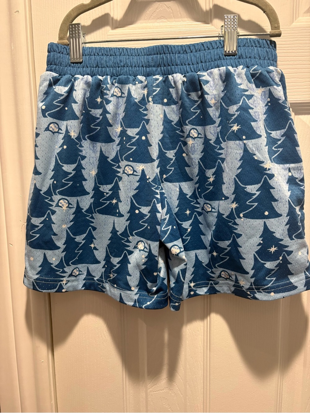 B101 winter 2025 shorts - Picture 2 of 3